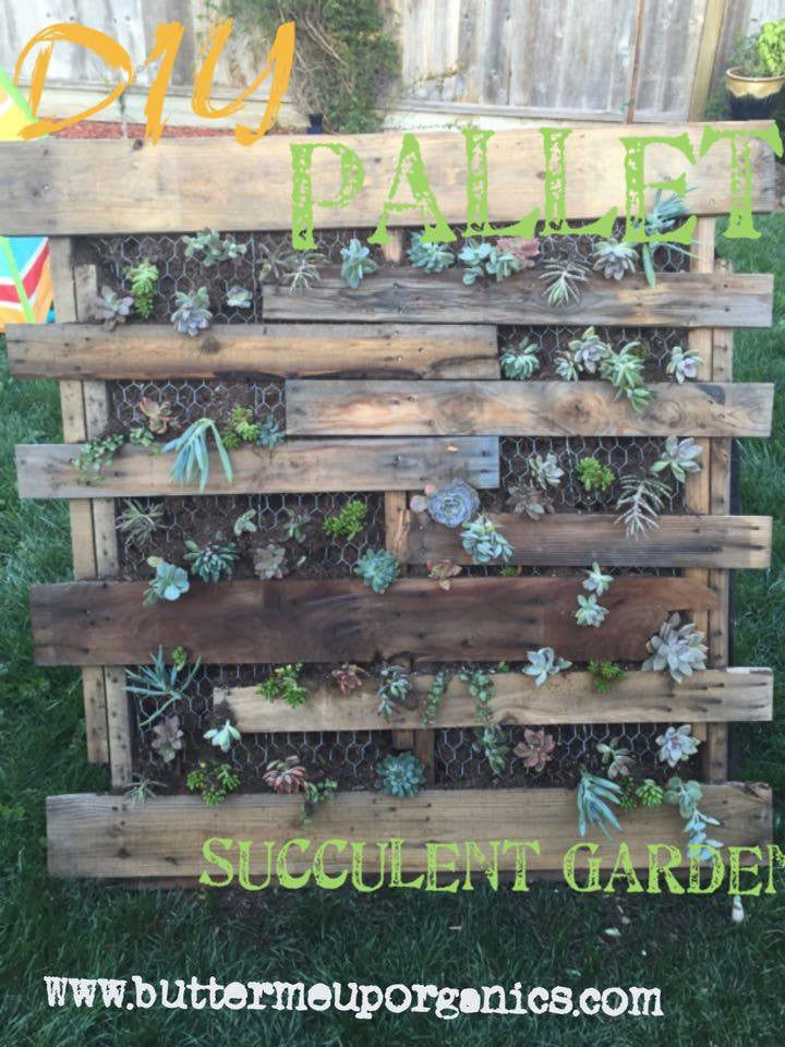 DIY Pallet Succulent Garden
