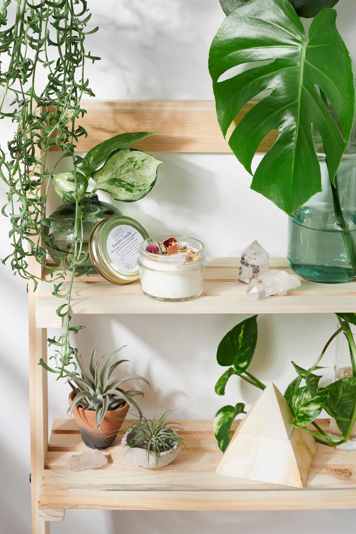 indoor plants for fertility Fertility candle / crystal candle / abundance candle / butter me up or — Butter Me Up Organics